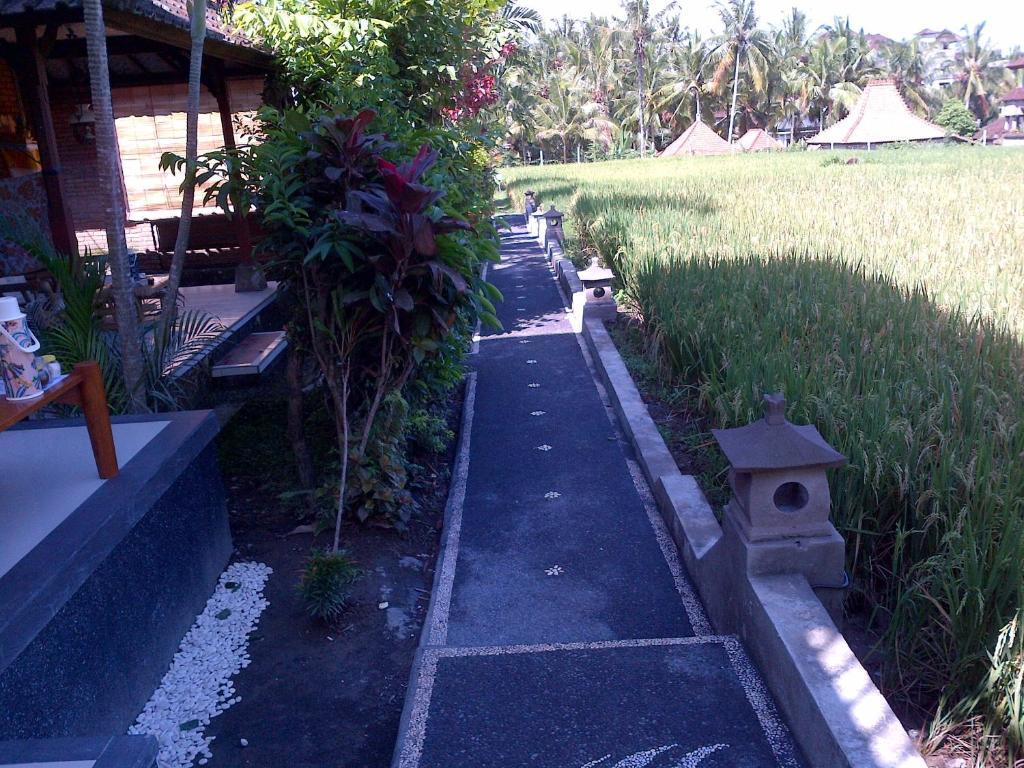 Puji Hostel And Bungalow Ubud Kültér fotó