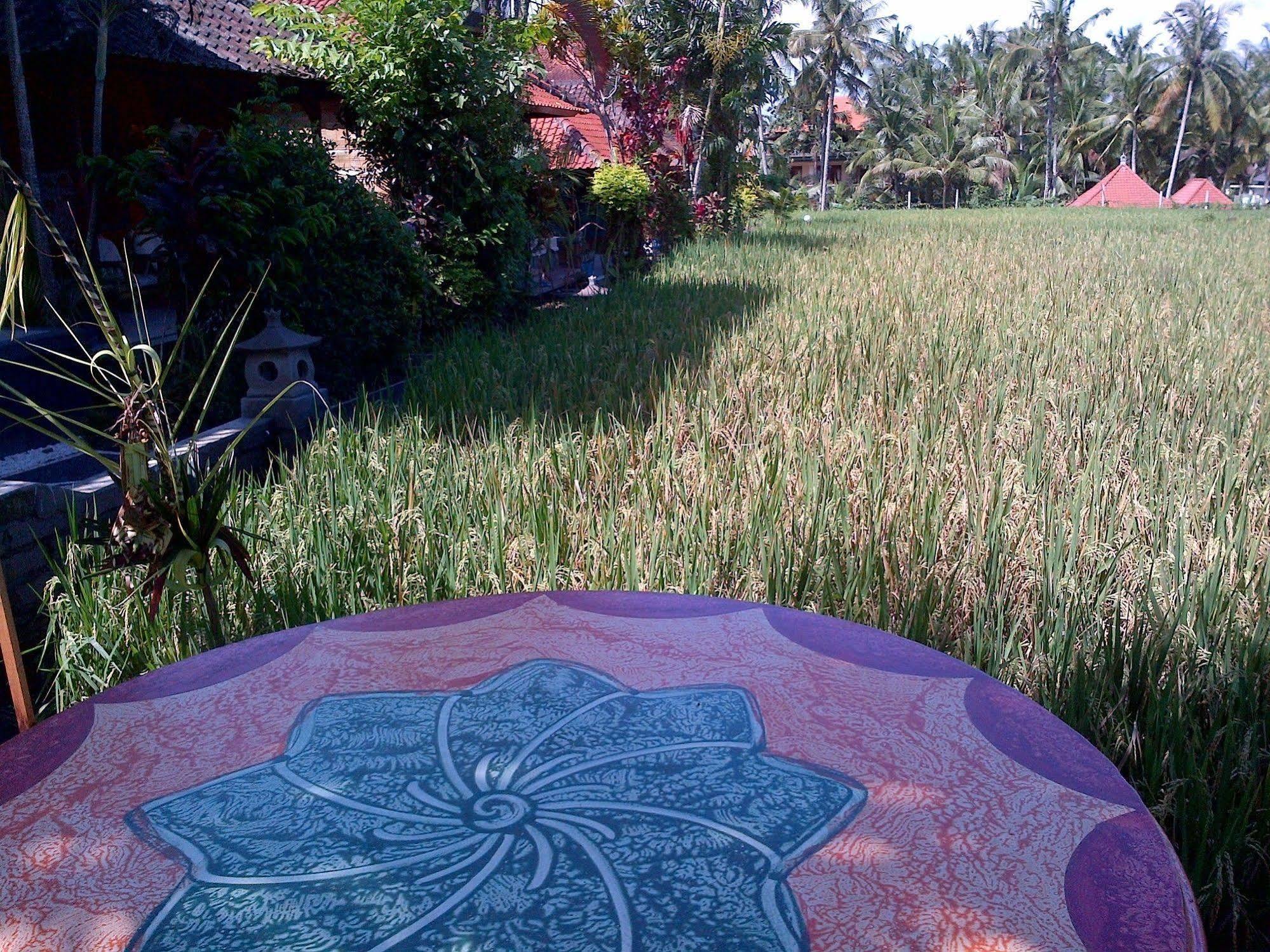 Puji Hostel And Bungalow Ubud Kültér fotó