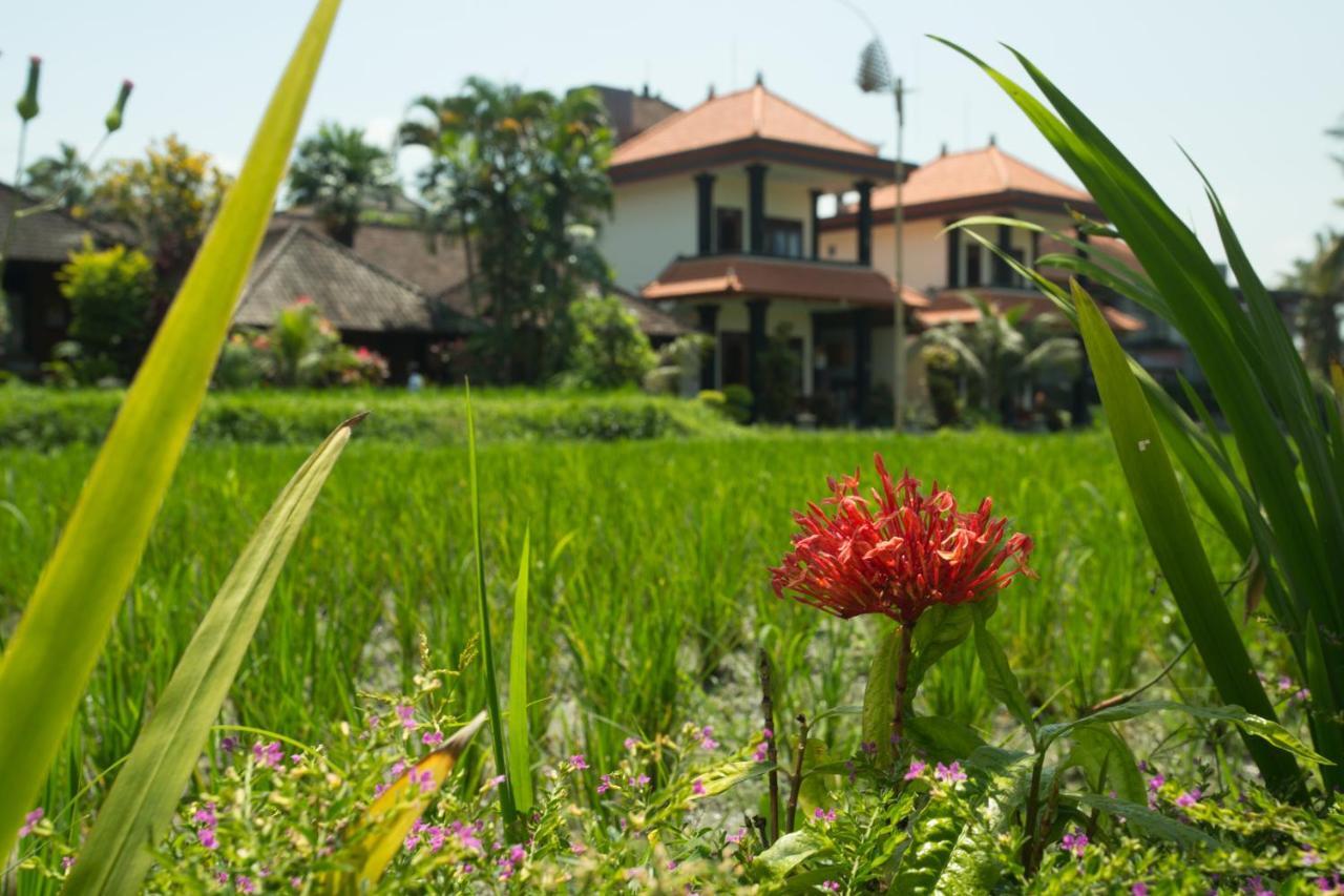 Puji Hostel And Bungalow Ubud Kültér fotó